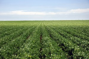 Foto © Peter Neufeld, Seminole, Texas