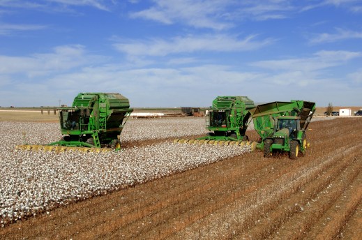 Foto © von Peter Neufeld, Seminole, TX